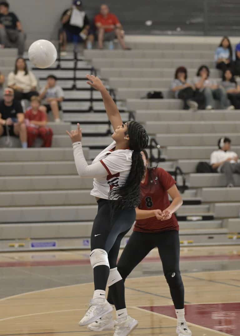 Toros advance to volleyball semifinals