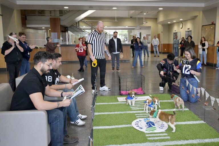 County hosts first Puppy Bowl event