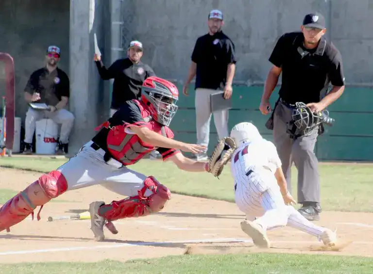 Torres falls short to McLane