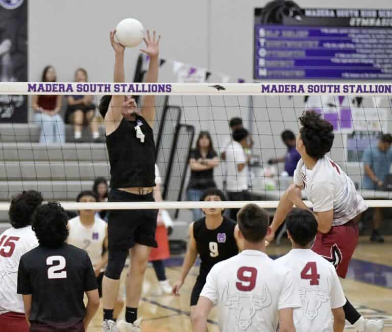 Stallions complete season sweep over Torres