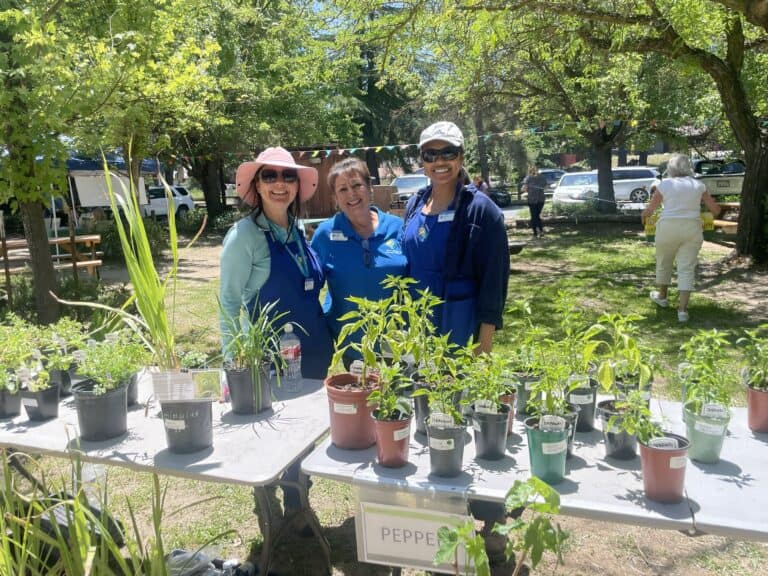 The Glorious Garden Tour