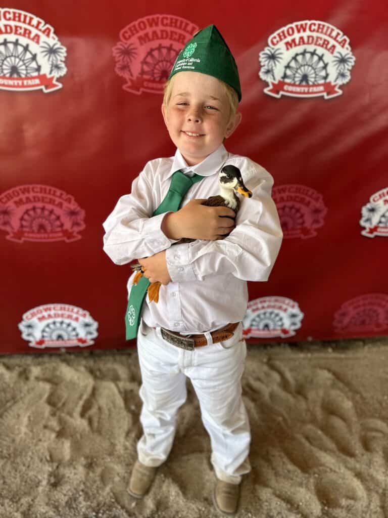 Successful Chowchilla fair for Alview-Dairyland 4-H