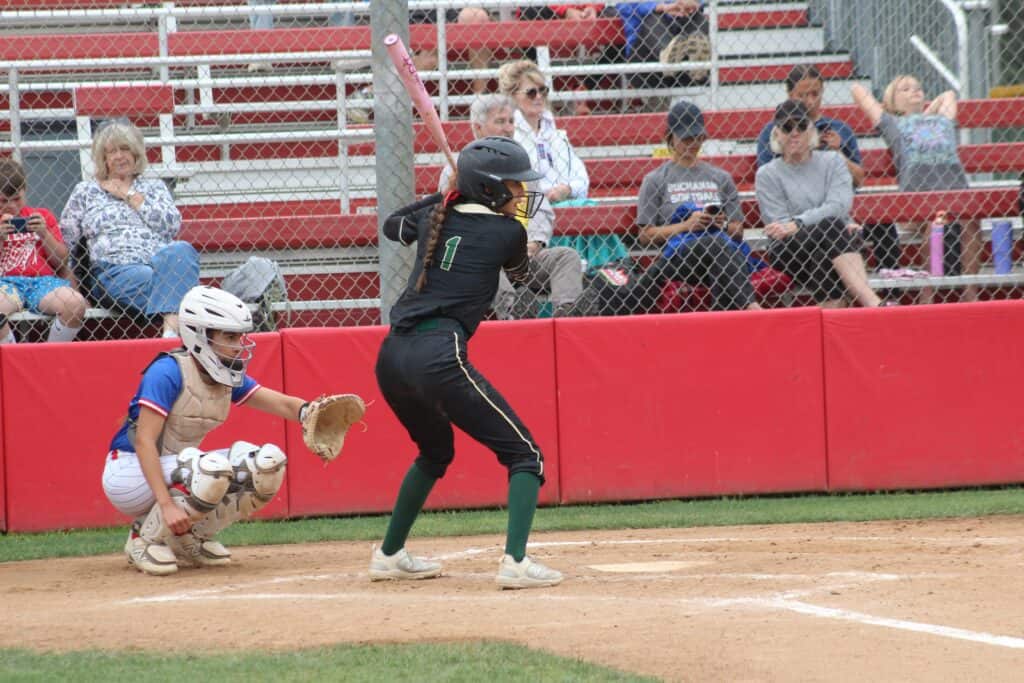 Photo - All-Madera Tribune Softball Team