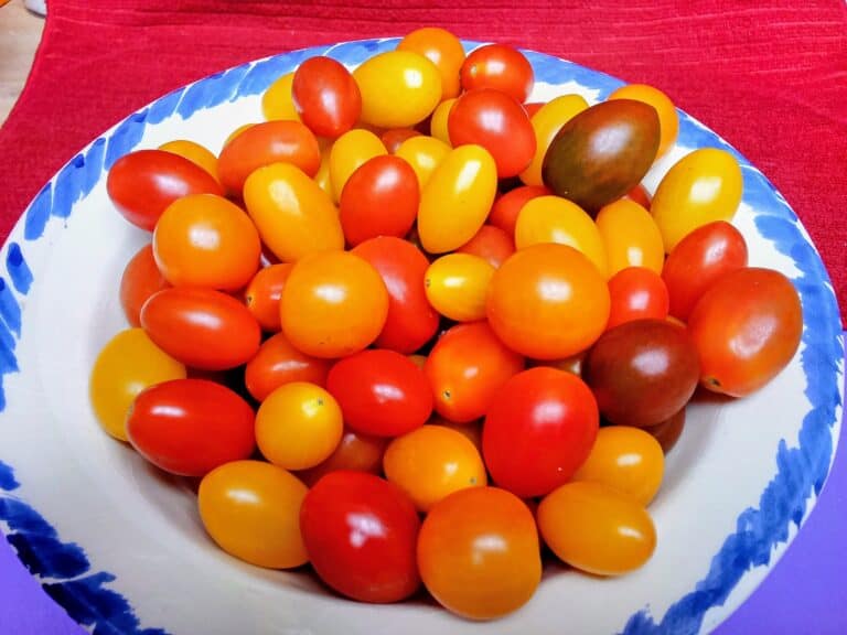 Those tiny tomatoes