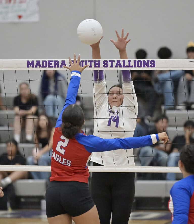 Stallions struggle against Eagles