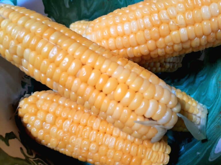 Summertime corn