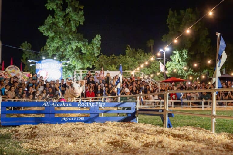Madera Fair brings daily entertainment