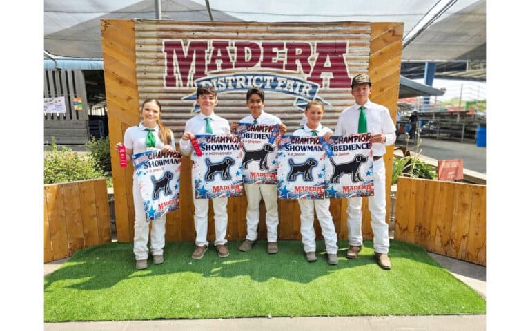 Dixieland 4-H shines at Madera Fair