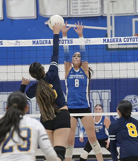 Coyotes fall to Wildcats in four sets