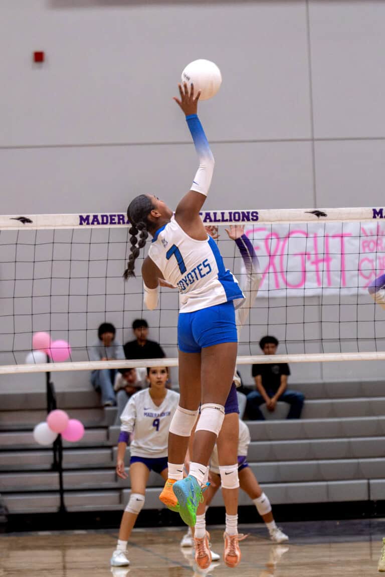 Coyotes sweep past Stallions