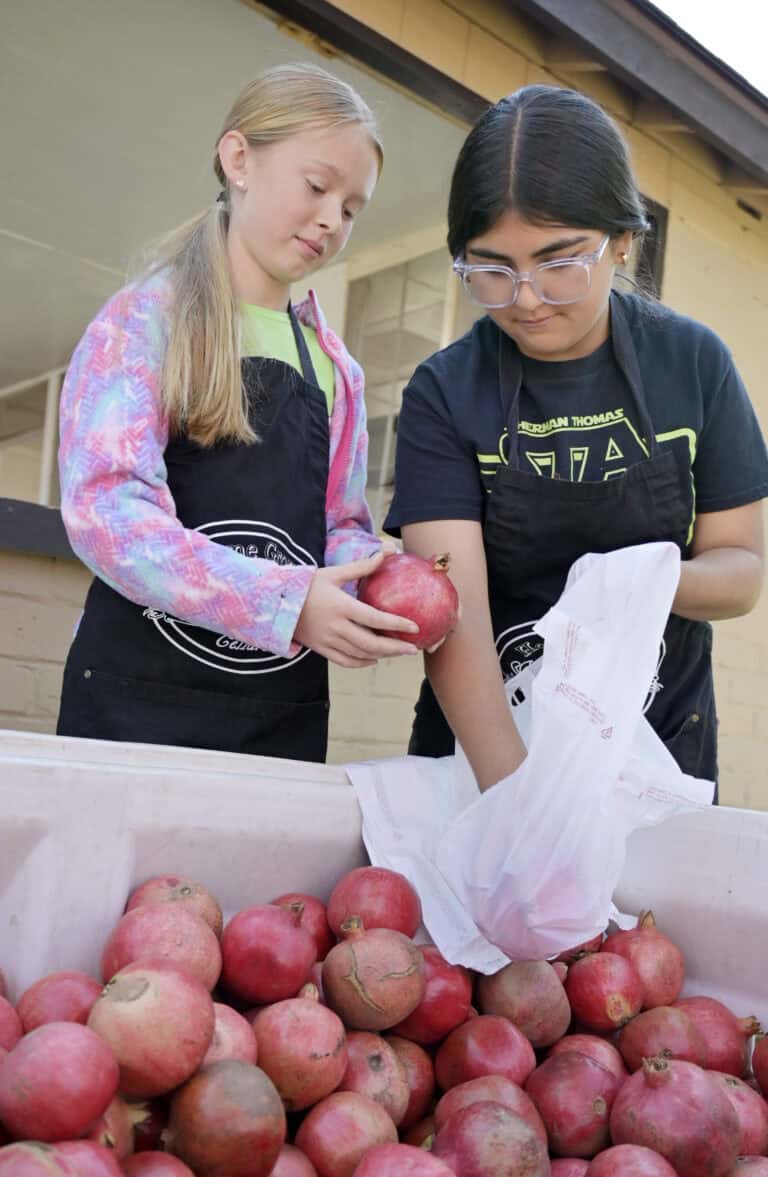 Celebrate flavor, family and community at the Madera Pomegranate, Fruit & Nut Festival