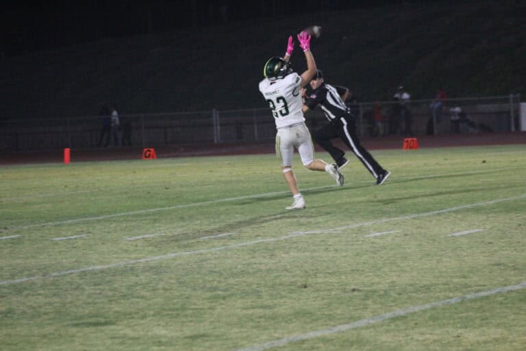 Hawks get back to winning against Eagles