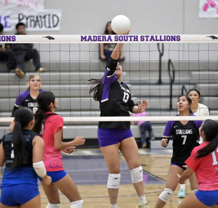 Sanger West sweeps by Stallions