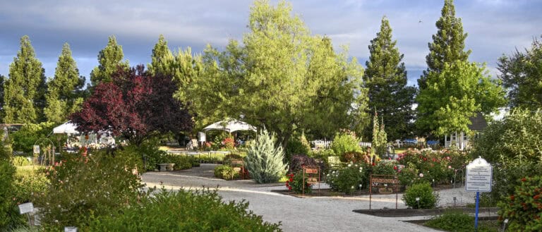 Three Sisters Garden to host Fall Festival