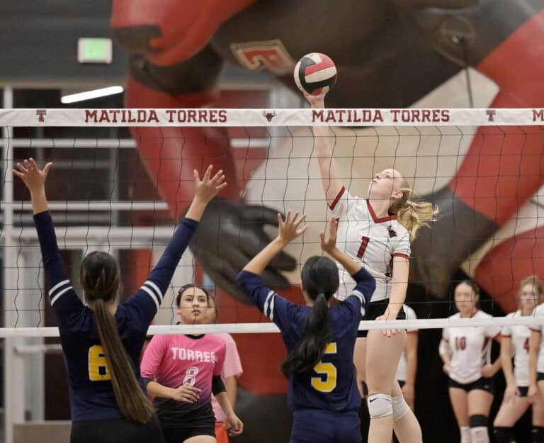 Toros stake claim at NYL title