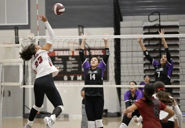 Toros get sweep over Stallions
