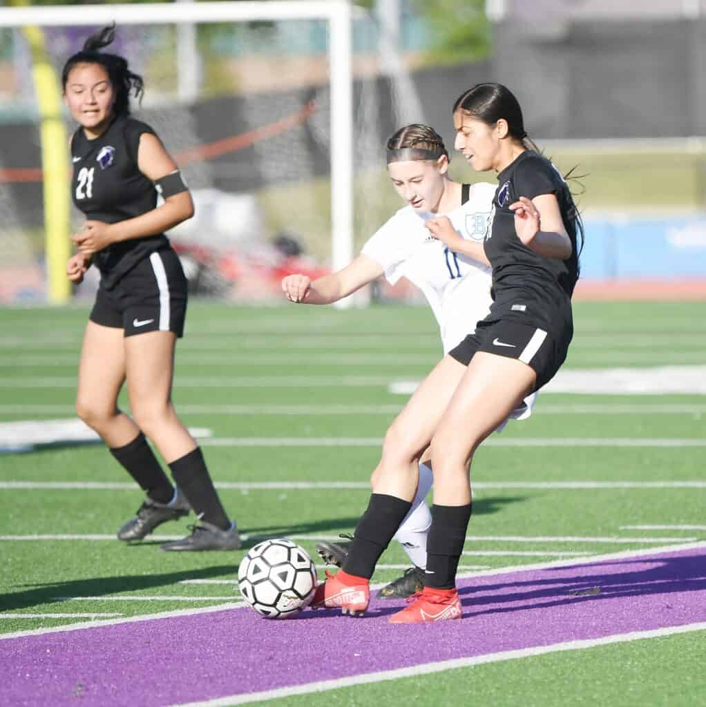 Female soccer players competing for ball during match.