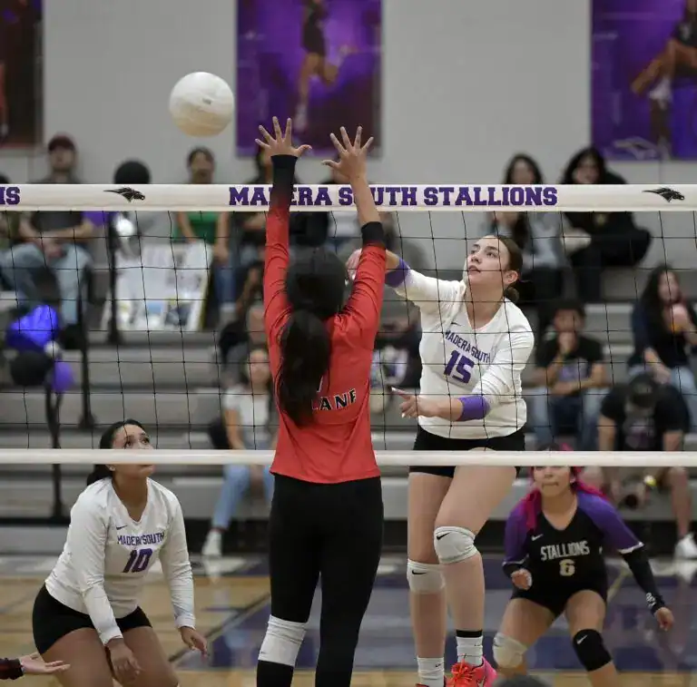 Stallions fall on Senior Night