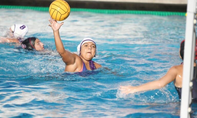 Stallions get dominant win over Toros