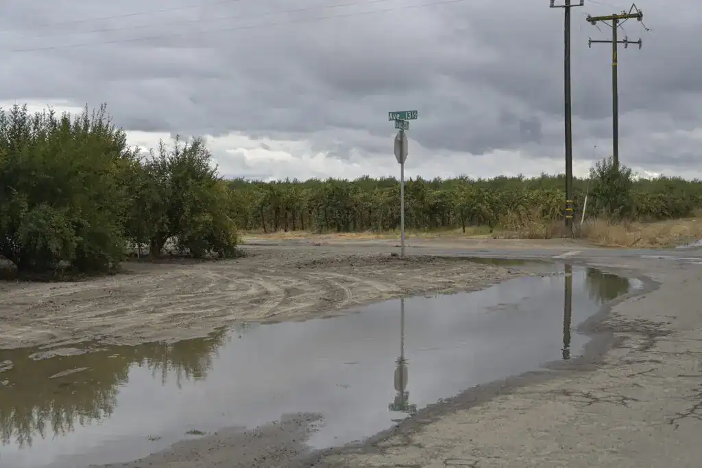 Photo - The recent storm that laid down more than an inch of rain came at a pretty good time for Madera County farmers.