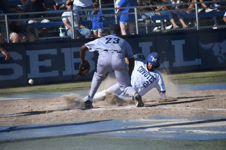 Coyotes fall in first state playoff game