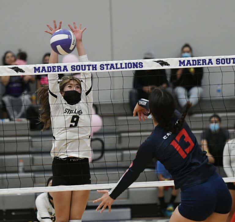 Stallions give CMAC champs a battle
