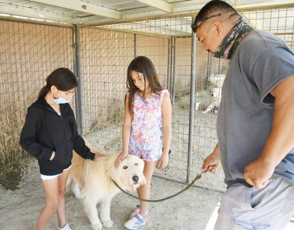 Adoptable dog meeting children at animal shelter, fostering love and care.