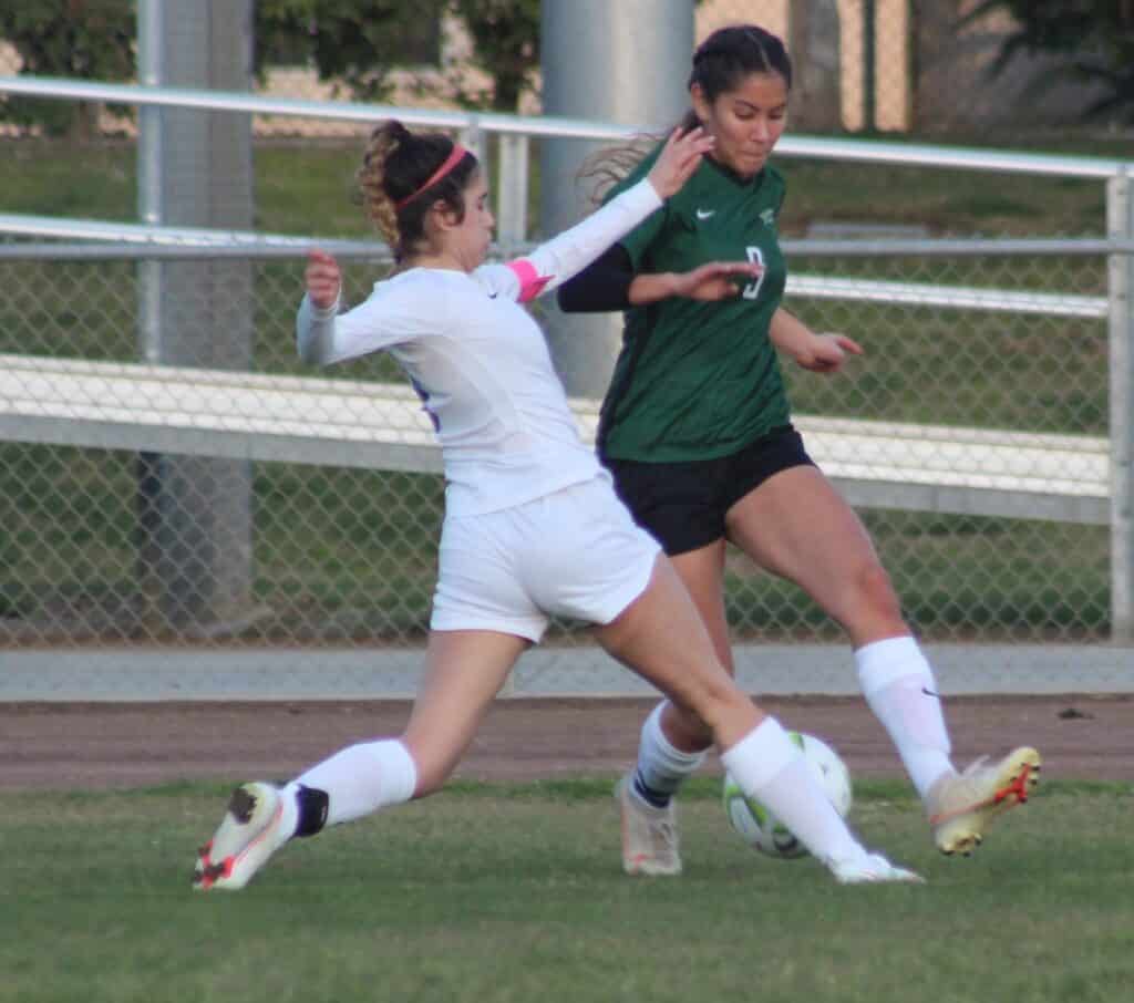 Two female soccer players competing for the ball during a game.