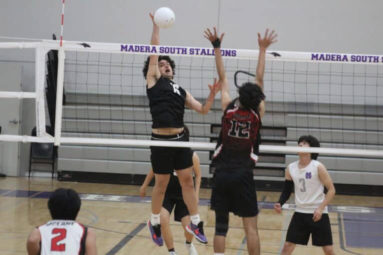 Shorthanded Stallions fall to Highlanders