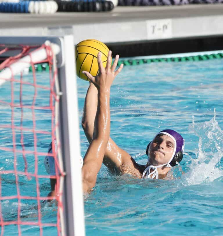 Stallions comeback falls short