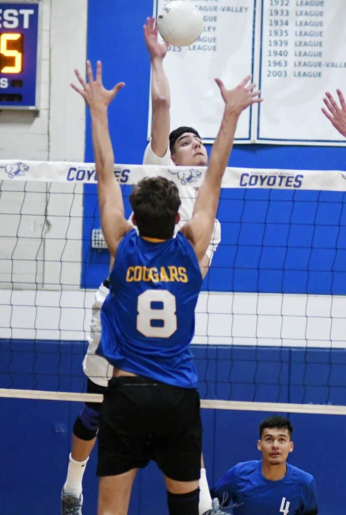 Coyotes volleyball player blocks the ball against TRAC team in a match.