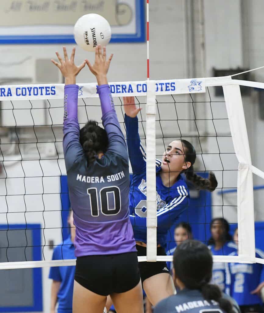 Madera Coyotes volleyball player blocks ball at net during match.