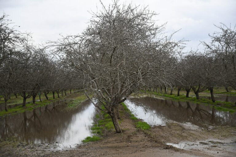 USDA grants disaster designation for farmers
