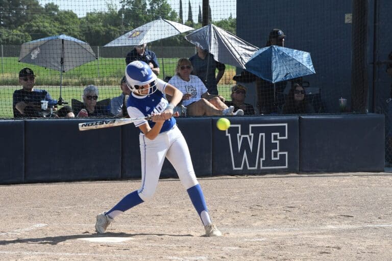 Coyotes, Hawks fall in state playoffs