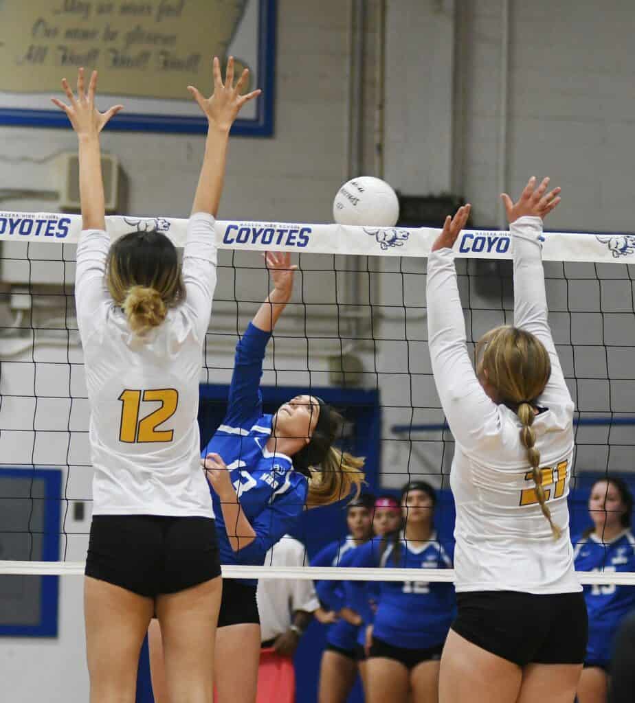 Girls volleyball players in action during a match at CMAC.