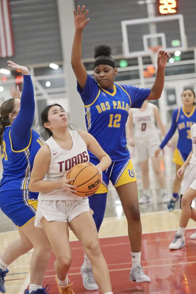 Young female basketball players competing fiercely during a game.