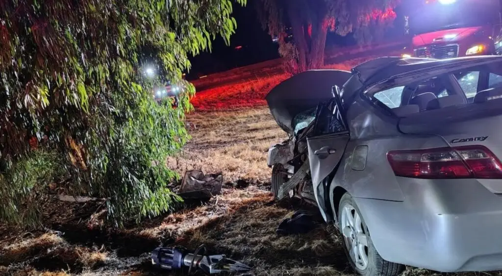Photo - A Toyota Camry sits near a tree after the driver ran off the road. The car collided with a tree and the driver was pronounced deceased at the scene.