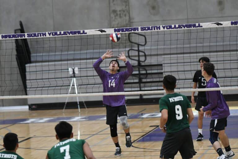 Stallions get Senior Night win