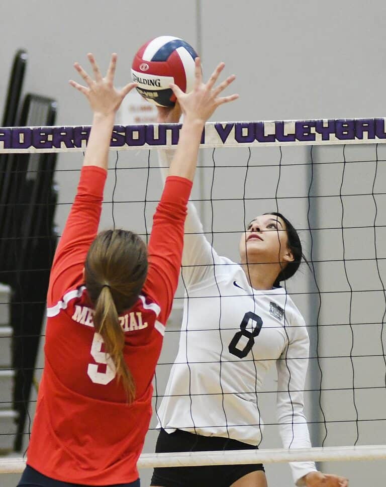 Stallions fall late to Panthers