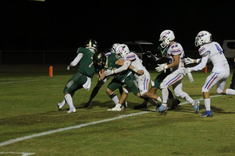 Hawks hang on for playoff win