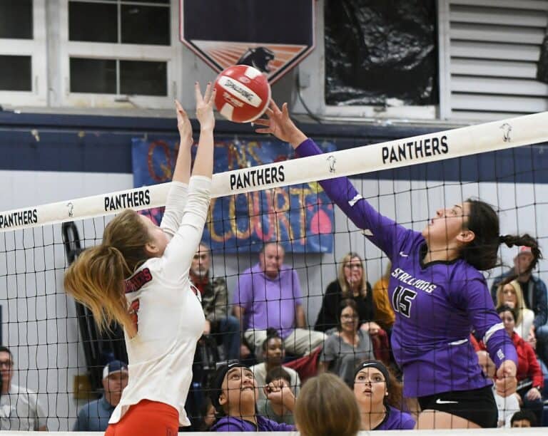 Stallions’ valley title runs at Memorial