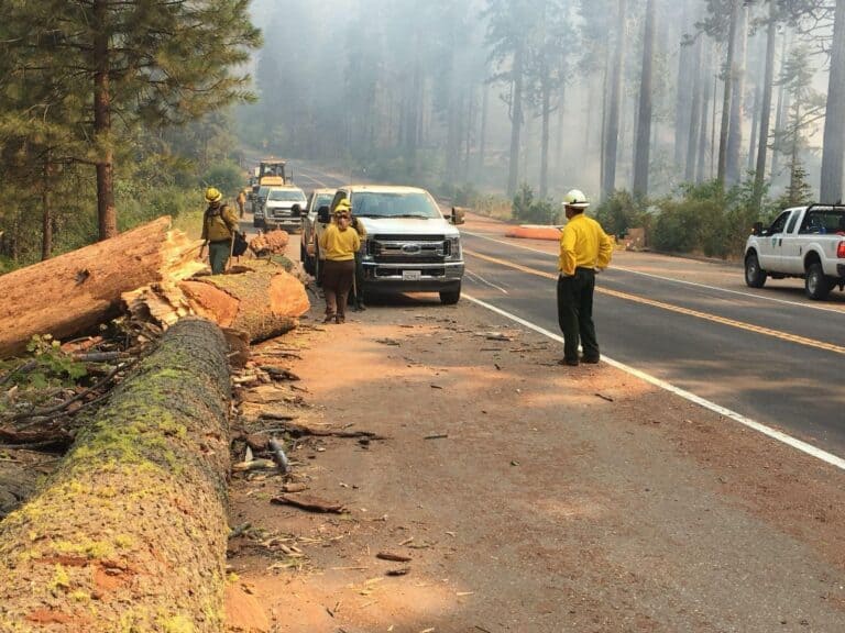 Ferguson Fire now biggest in Sierra history