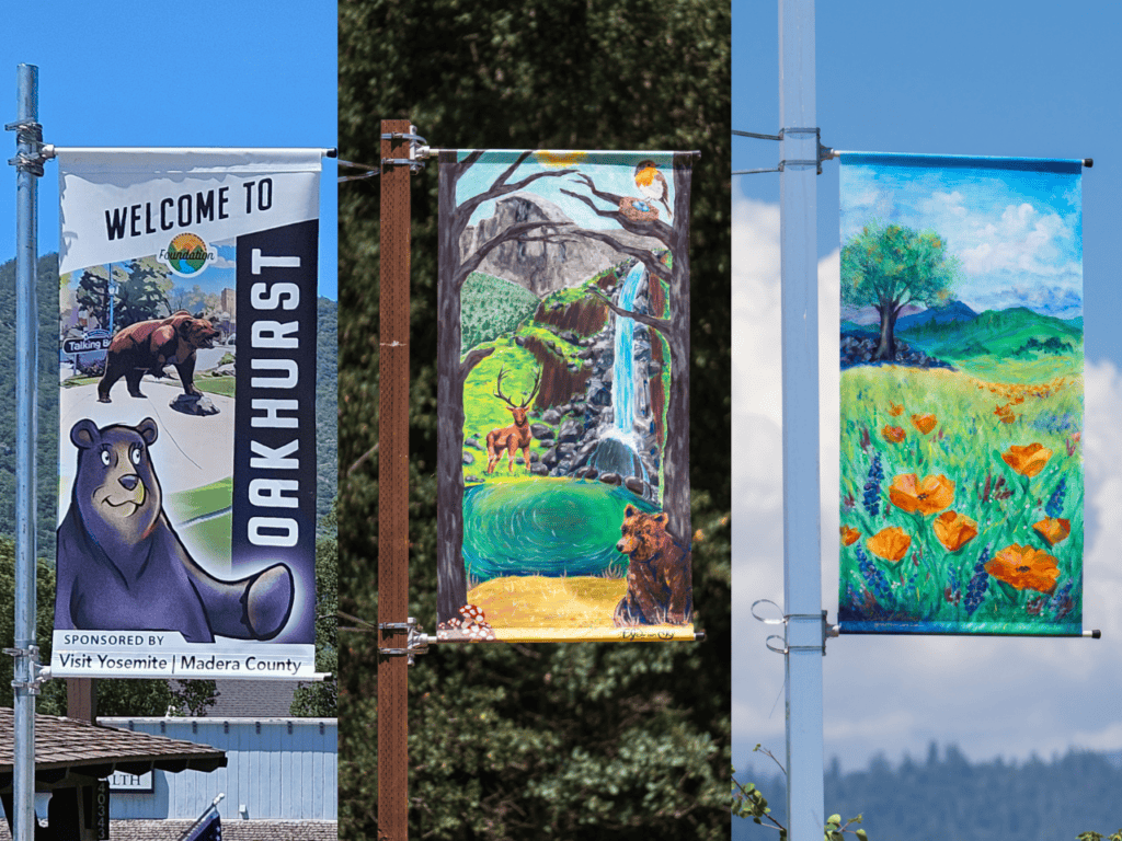 Yosemite’s southern gateway features vibrant community art banners showcasing local wildlife and nat.