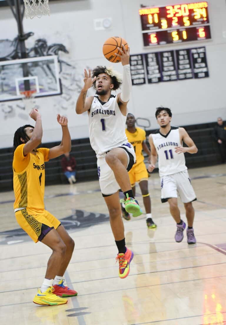 Stallions’ basketball loses to NYL leader