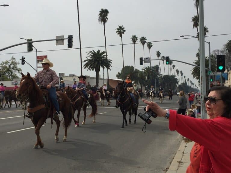 Stampede to open with Cattle Drive
