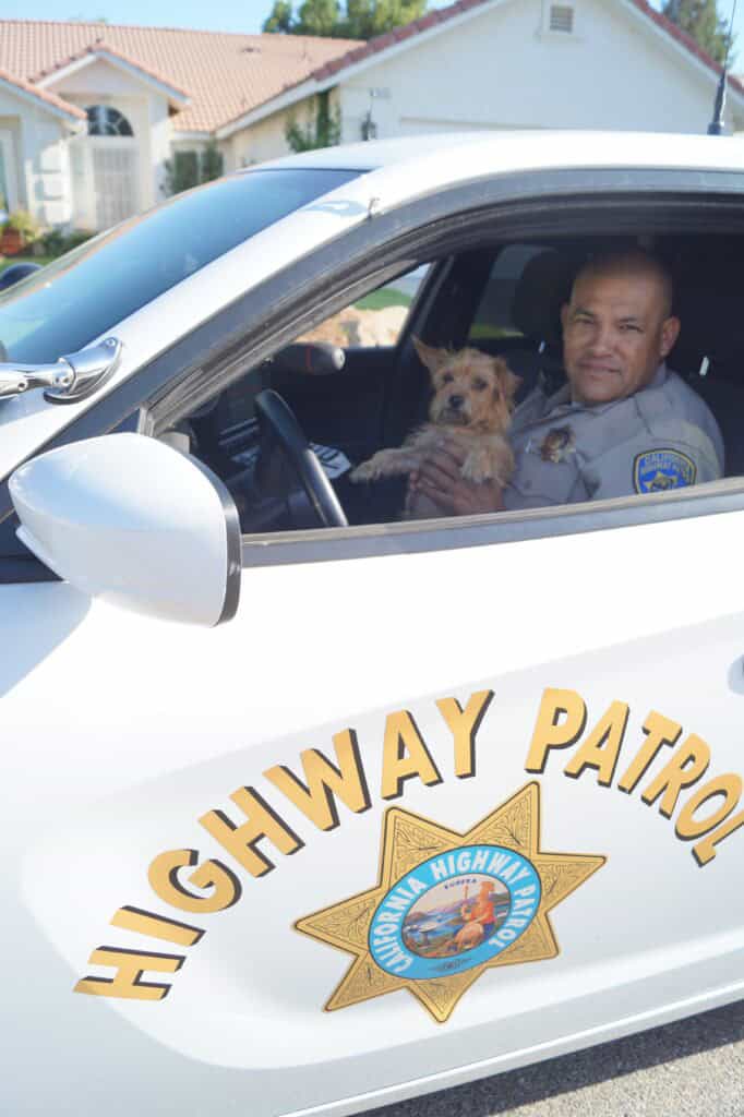 CHP officer rescues dog on freeway in Madera, California.