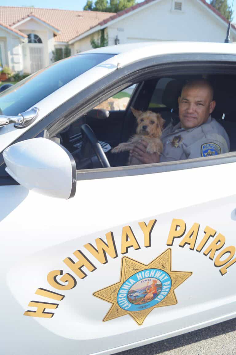 CHP rescues dog on freeway